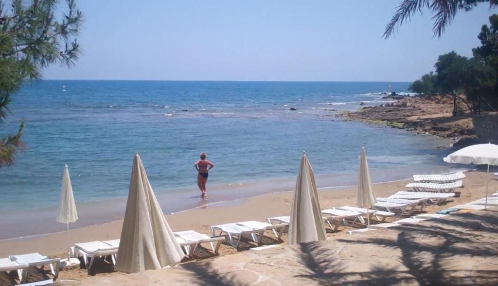 Alara Park Otel Avsallar Dış mekan fotoğraf